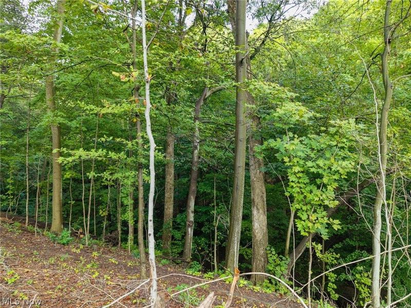 2959 Rohrer Road, Wadsworth, OH 44281 Photo 4