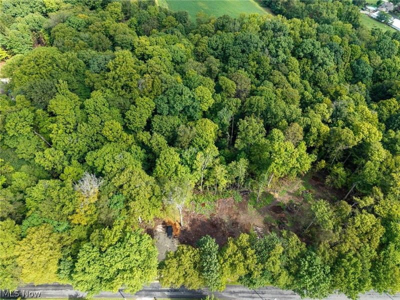 2959 Rohrer Road, Wadsworth, OH 44281 Photo 6