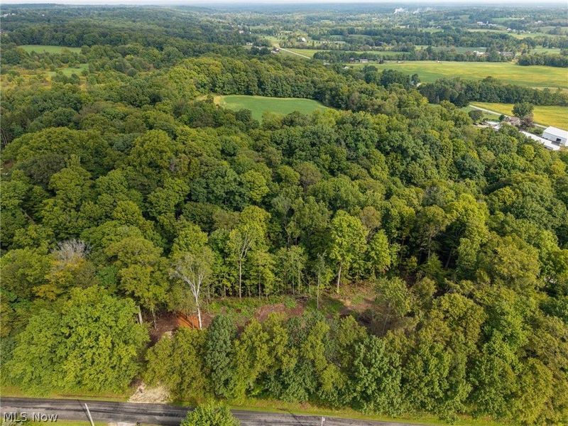 2959 Rohrer Road, Wadsworth, OH 44281 Photo 8