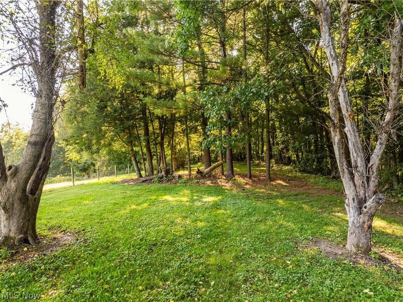 29556 Township Road 209, Coshocton, OH 43812 Photo 31
