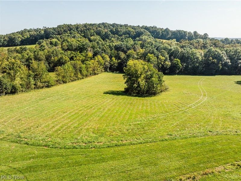 29556 Township Road 209, Coshocton, OH 43812 Photo 32