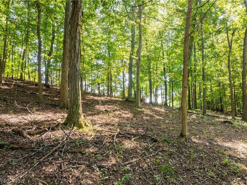 29556 Township Road 209, Coshocton, OH 43812 Photo 40