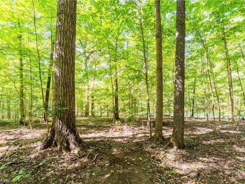 29556 Township Road 209, Coshocton, OH 43812 Photo 44