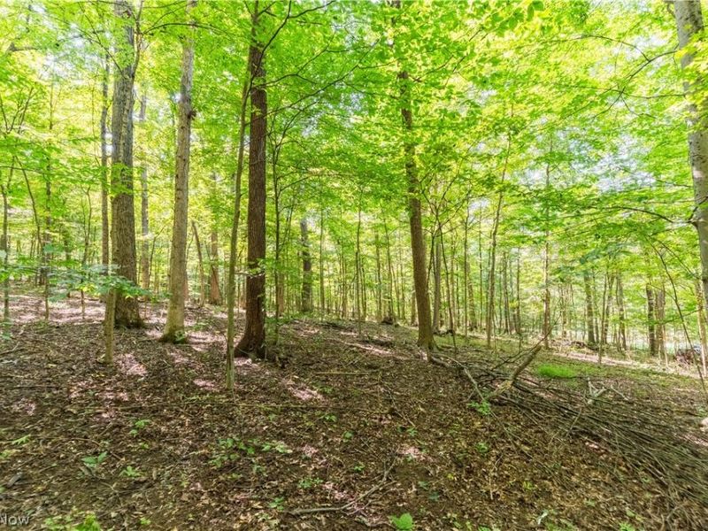 29556 Township Road 209, Coshocton, OH 43812 Photo 45