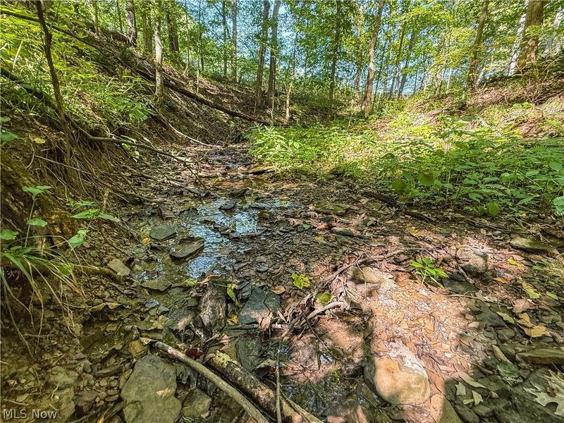 29556 Township Road 209, Coshocton, OH 43812 Photo 48
