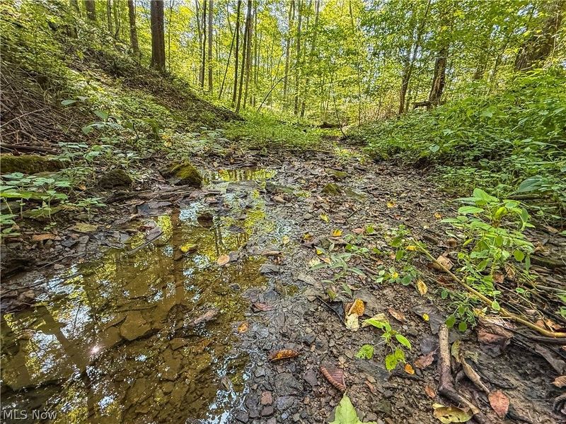 29556 Township Road 209, Coshocton, OH 43812 Photo 49