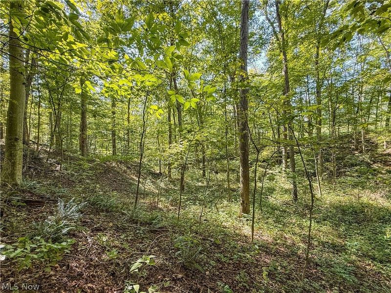 29556 Township Road 209, Coshocton, OH 43812 Photo 50