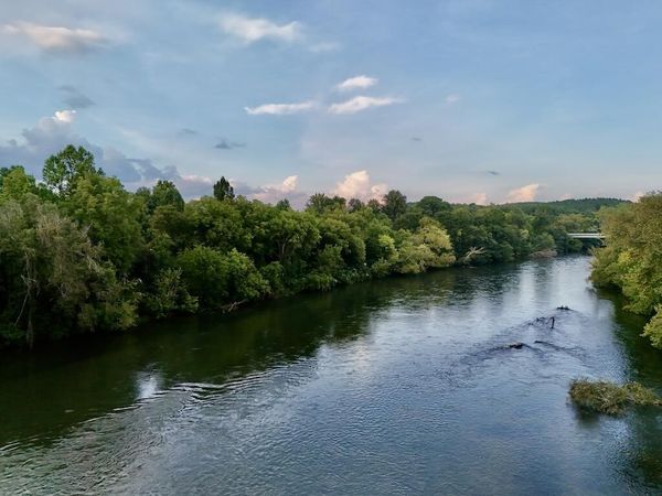 0 Frog Hollow Road, Delano, TN 37325