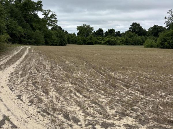 0 Blue Springs Road , Greenwood, FL 32443