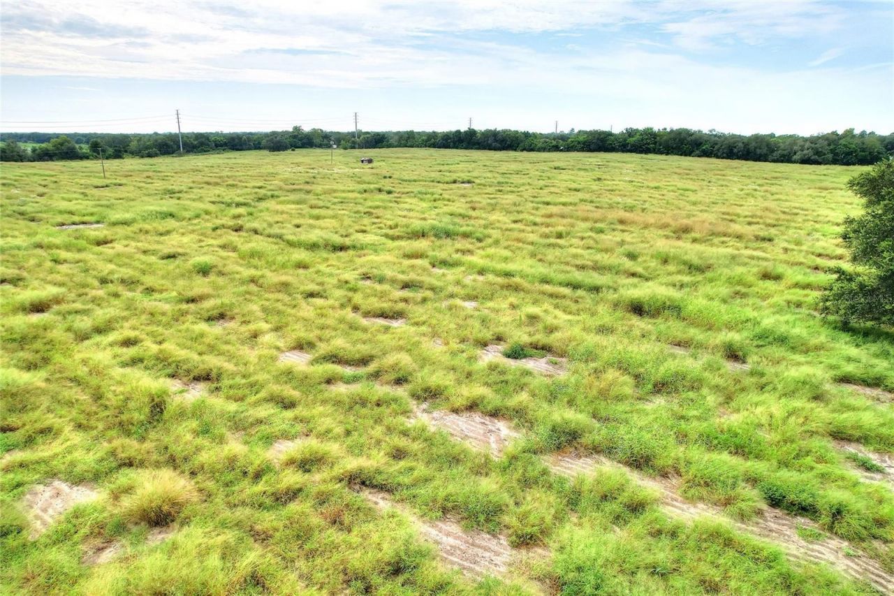 Bagley Road , Haines City, FL 33844 Photo