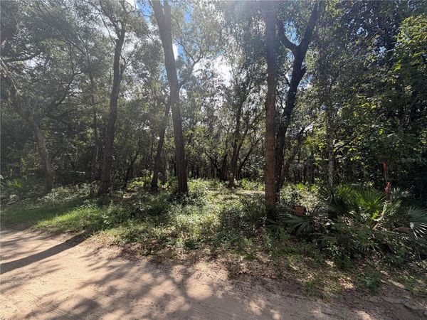 0 NE 37TH STREET , SILVER SPRINGS, FL 34488