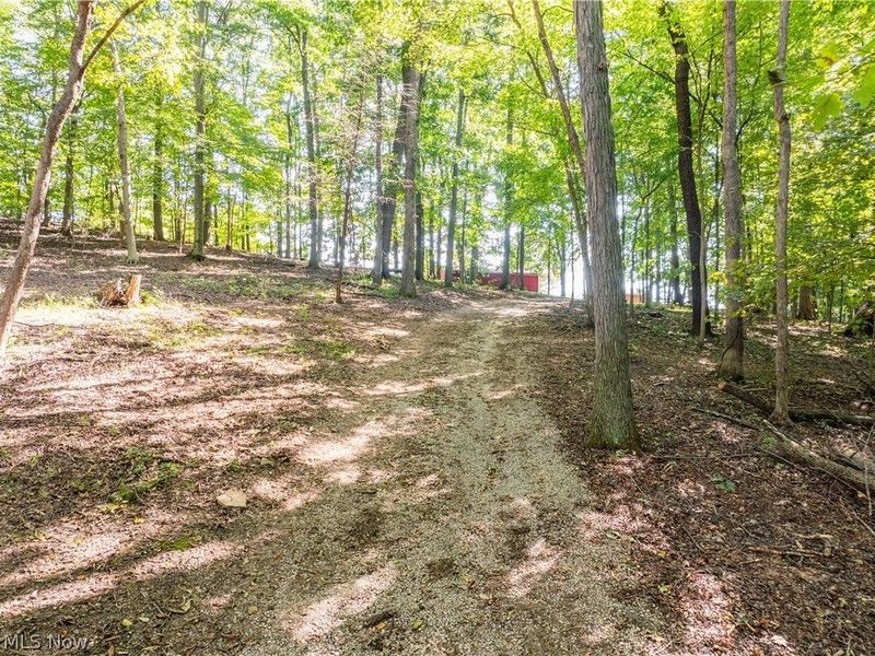 29556 Township Road 209, Coshocton, OH 43812 Photo 30