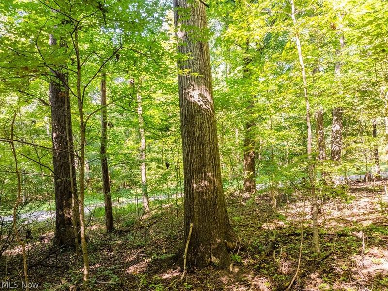 29556 Township Road 209, Coshocton, OH 43812 Photo 37