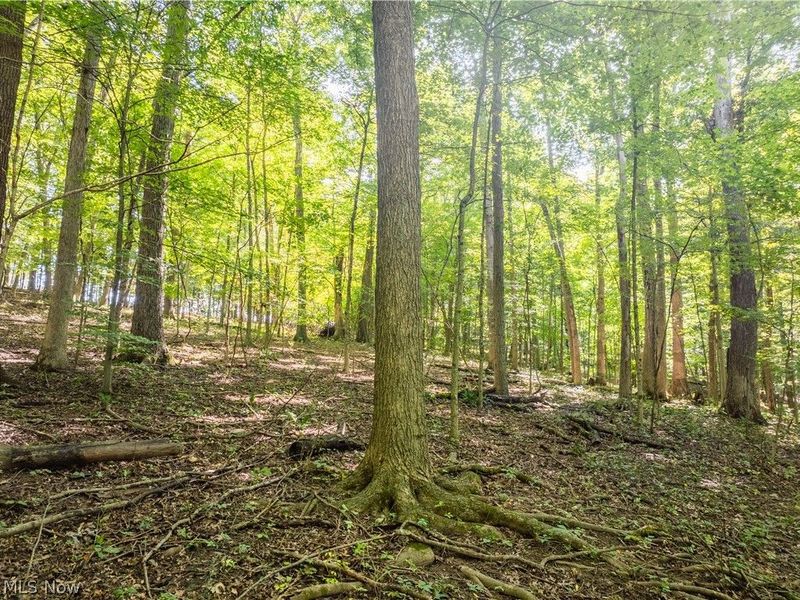 29556 Township Road 209, Coshocton, OH 43812 Photo 38