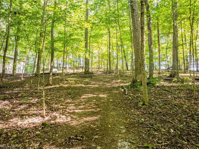 29556 Township Road 209, Coshocton, OH 43812 Photo 40
