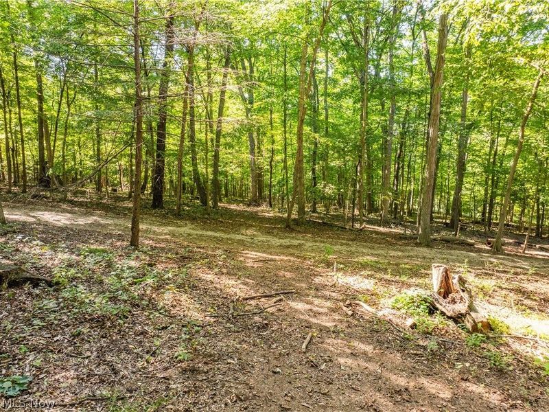 29556 Township Road 209, Coshocton, OH 43812 Photo 42