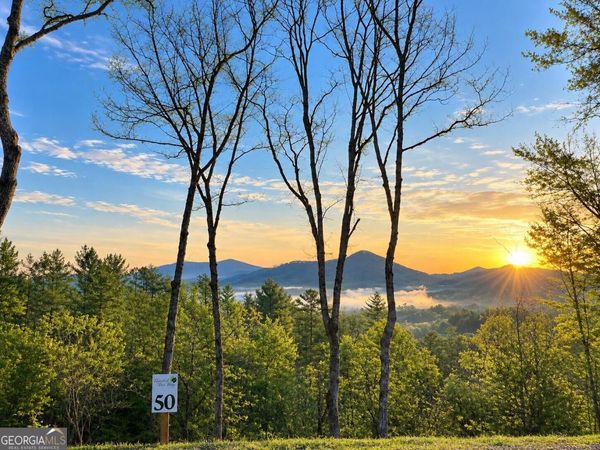 0 Mountain Laurel Ridge, Mineral Bluff, GA 30559