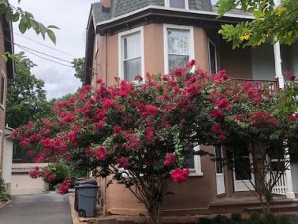 1705 N RODNEY STREET, WILMINGTON, DE 19806