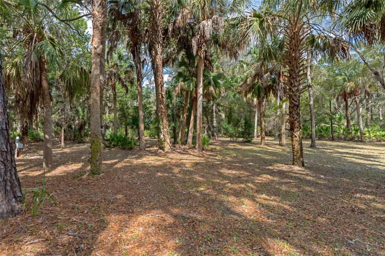 35 Captains Cove Road , Inglis, FL 34449 Photo