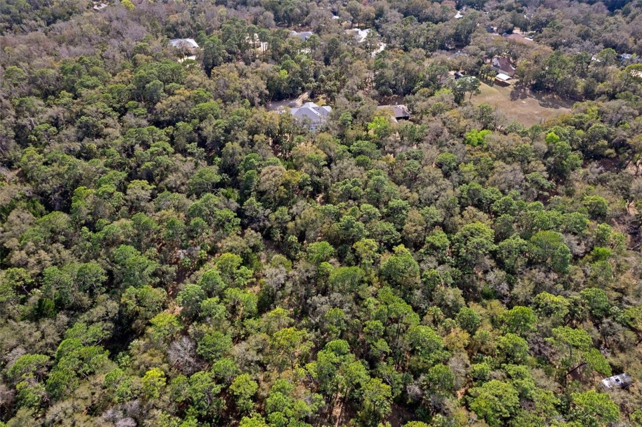 35 Captains Cove Road , Inglis, FL 34449 Photo