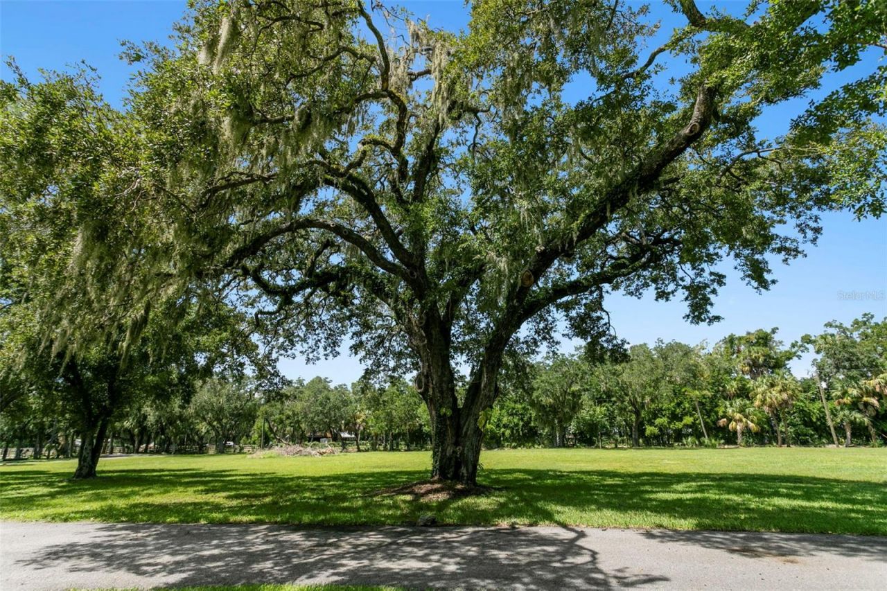 2805 Gulf City Road, Ruskin, FL 33570 Photo