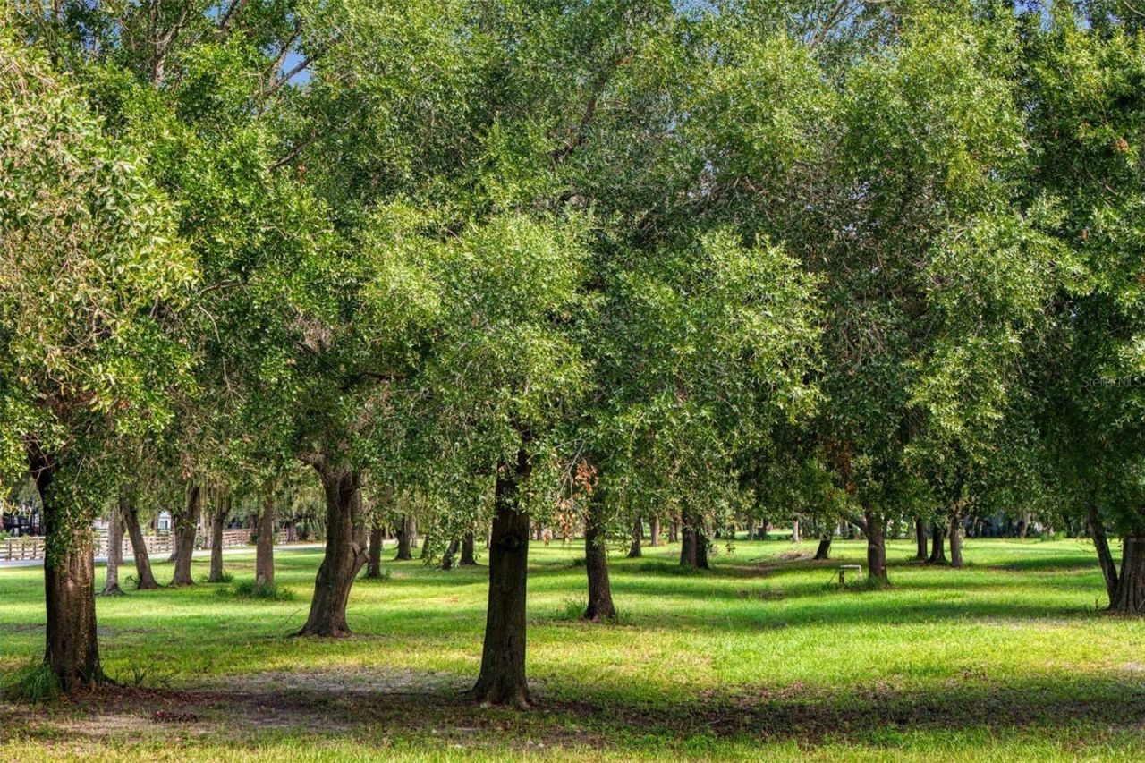 2805 Gulf City Road, Ruskin, FL 33570 Photo