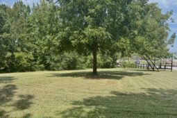 6009-b Wescott Road photo 4