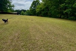 6009-b Wescott Road photo 4