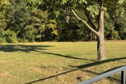 6009-b Wescott Road photo 4