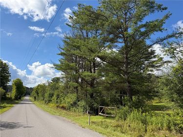 5717 Dyke Road , Beaver Dams, NY 14812