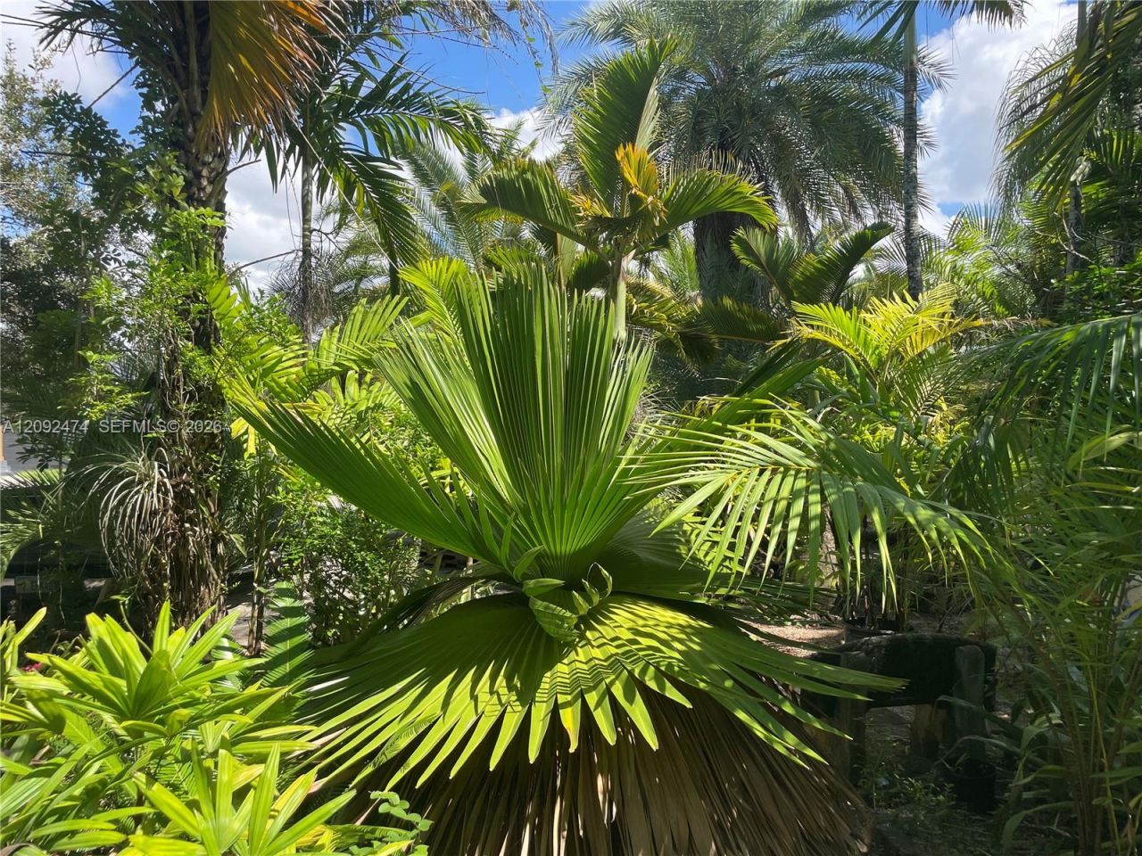 182 NW 16th St , Homestead, FL 33030 Photo