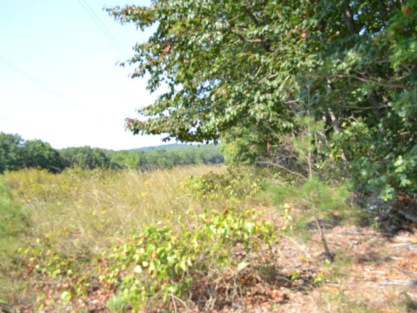 2156 Street Place Loop , Monterey, TN 38574