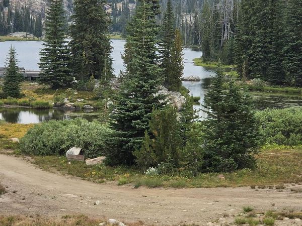 TBD Hump Lake Lot 4, Dixie, ID 83525