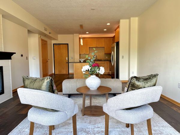 284 Spring Street, Unit 311, Saint Paul, MN 55102