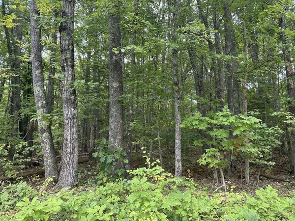 L23-1 Buzzell Hill Road , Hope, ME 04847