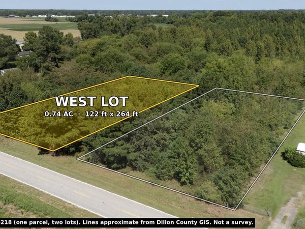 TBD Black Branch Rd., Dillon, SC 29536