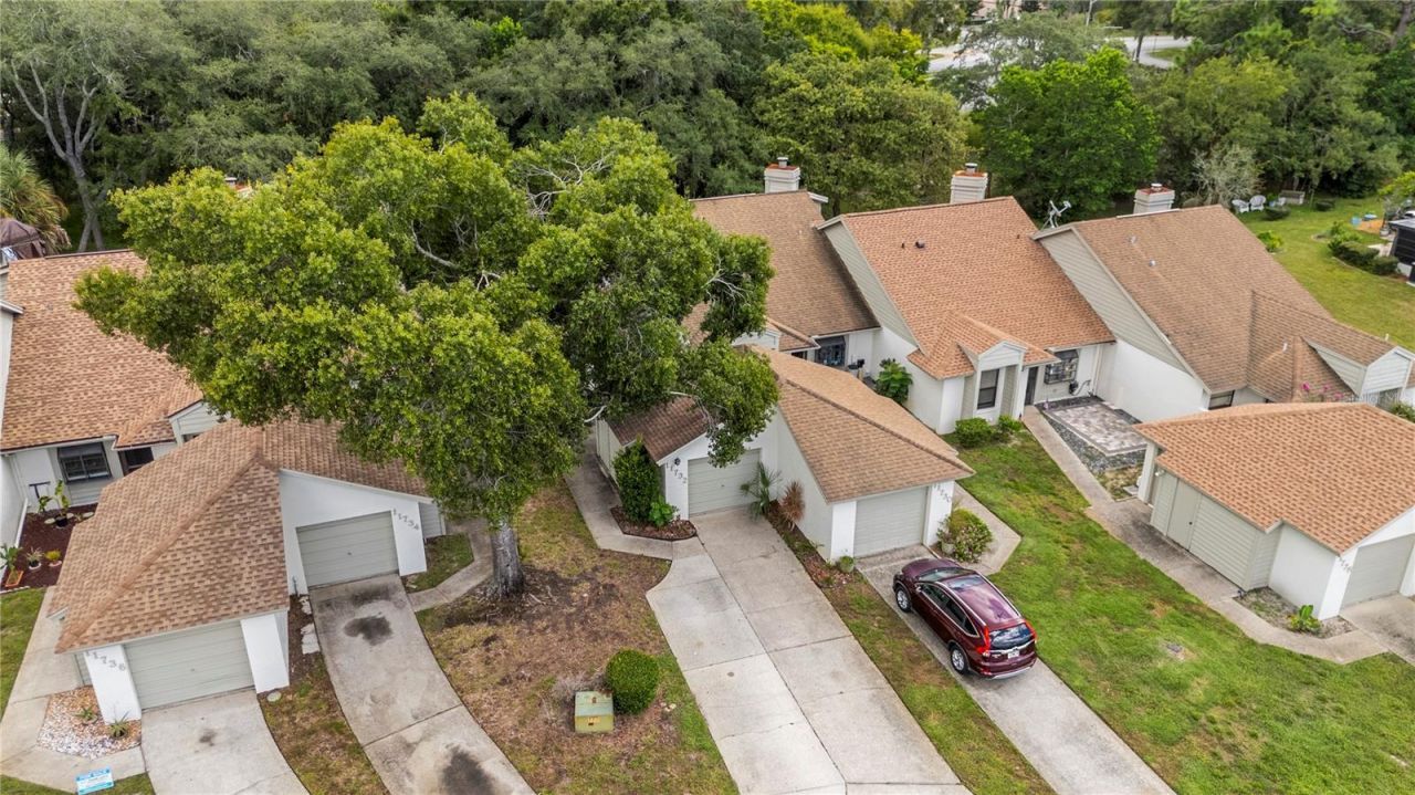 11732 Rolling Pine Lane , Port Richey, FL 34668 Photo