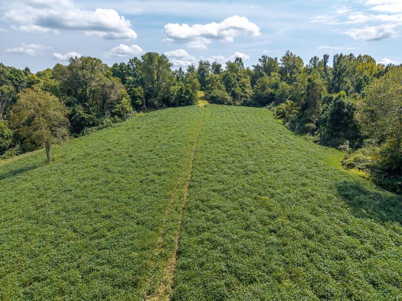 3930 Mcnally Road, Stockport, OH 43787 Photo 13
