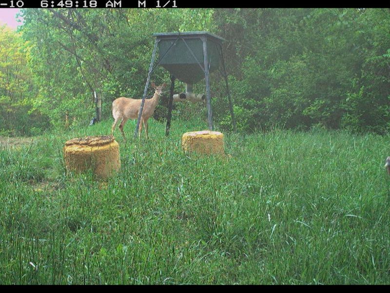 3930 Mcnally Road, Stockport, OH 43787 Photo 75