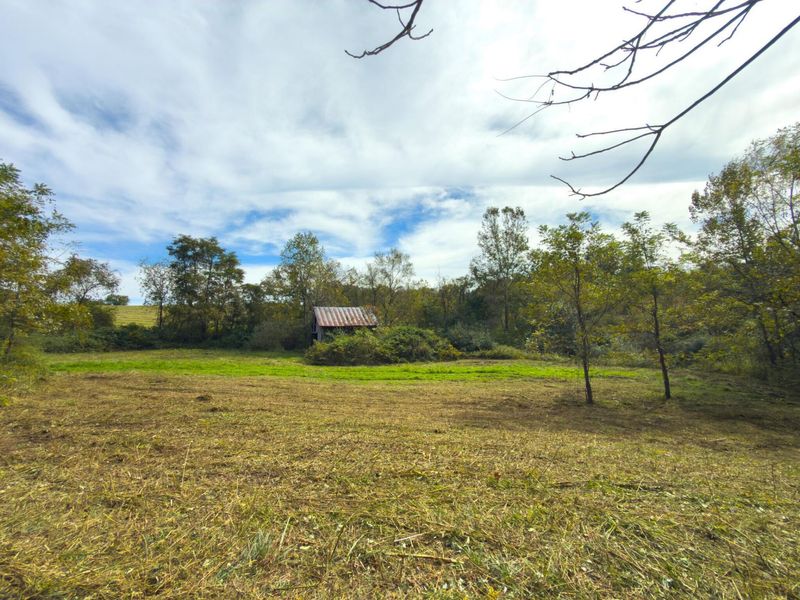 3930 Mcnally Road, Stockport, OH 43787 Photo 87