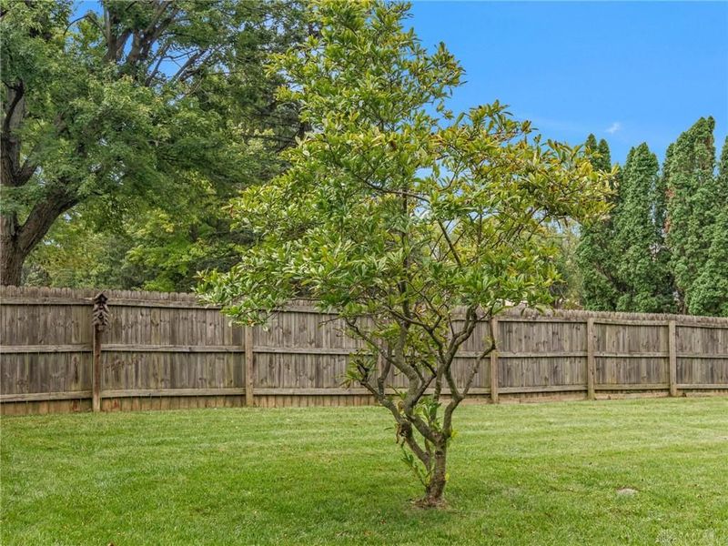 3243 Windmill Drive, Beavercreek, OH 45432 Photo 68