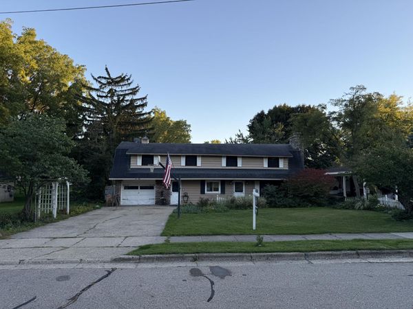 650 1st Street, Lake Odessa, MI 48849