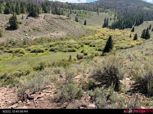 TBD Sandy Road, Powderhorn, CO 81243