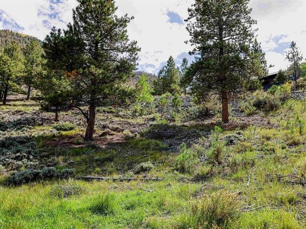 502 Hotchkiss Street, Lake City, CO 81235