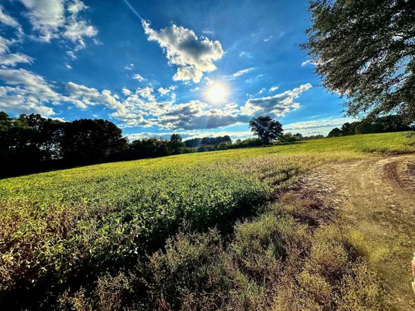 0 Gargis Ln, Tuscumbia, AL 35674