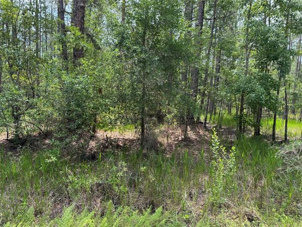 SW 143 PLACE , OCALA, FL 34473