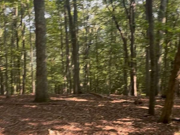 0 Brooks Ridge Road, Mineral Bluff, GA 30559