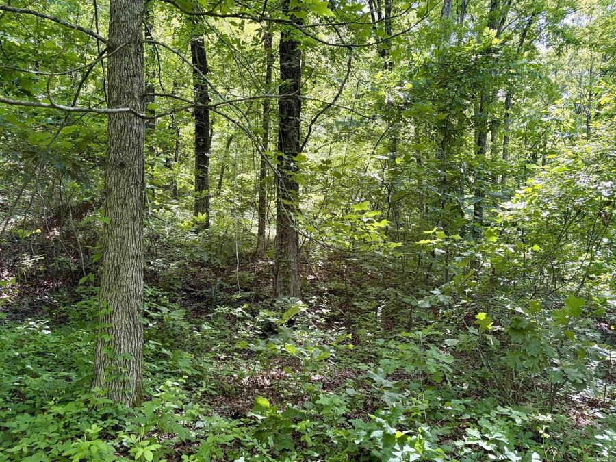 Property Image 22
