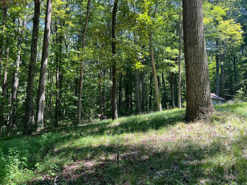 14212 Long Run Road , Laurelville, OH 43135 Photo 7