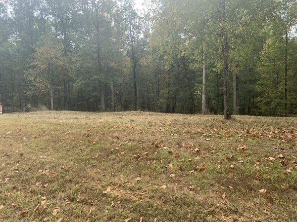 81 The Woodlands of Nashville, Unit 81, Mc Ewen, TN 37101